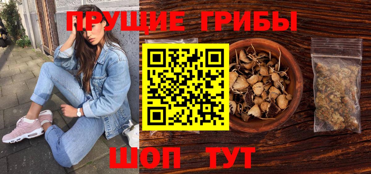 Псилоцибиновые грибы GOLDEN TEACHER  купить наркоту  Псилоцибиновые грибы Cubensis  Пыть-Ях  Вход с VPN 